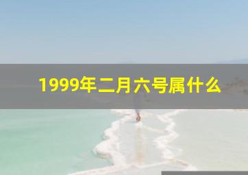 1999年二月六号属什么