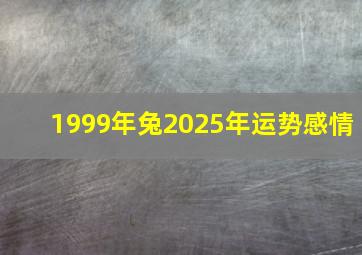 1999年兔2025年运势感情