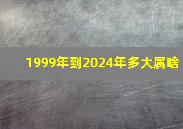 1999年到2024年多大属啥