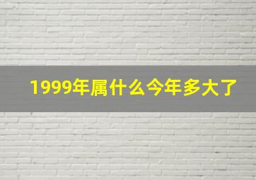 1999年属什么今年多大了