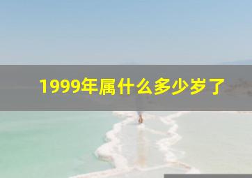 1999年属什么多少岁了