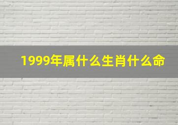 1999年属什么生肖什么命