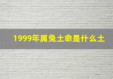 1999年属兔土命是什么土