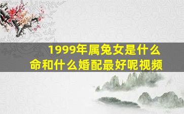 1999年属兔女是什么命和什么婚配最好呢视频