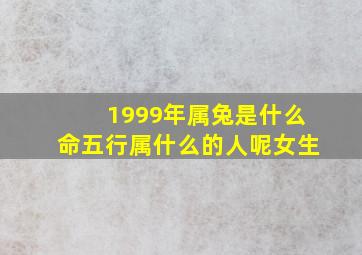 1999年属兔是什么命五行属什么的人呢女生