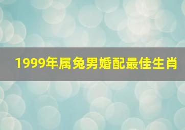 1999年属兔男婚配最佳生肖