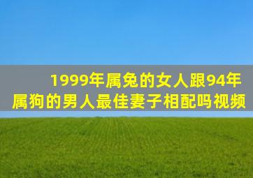 1999年属兔的女人跟94年属狗的男人最佳妻子相配吗视频