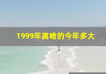 1999年属啥的今年多大