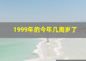 1999年的今年几周岁了