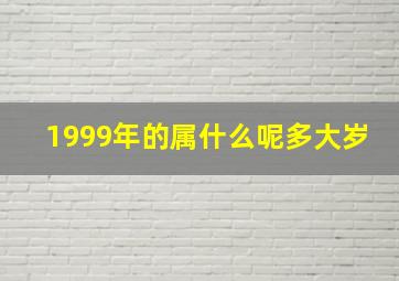 1999年的属什么呢多大岁