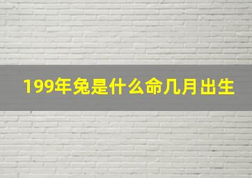 199年兔是什么命几月出生