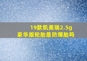 19款凯美瑞2.5g豪华版轮胎是防爆胎吗