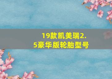 19款凯美瑞2.5豪华版轮胎型号