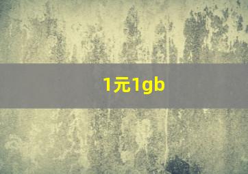 1元1gb