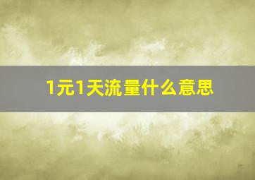 1元1天流量什么意思