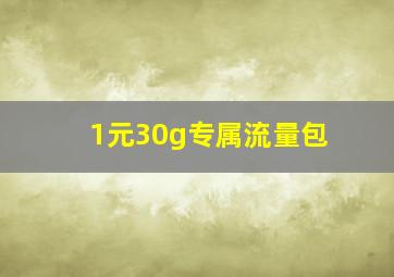 1元30g专属流量包