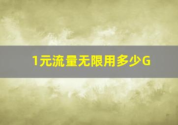 1元流量无限用多少G