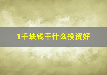 1千块钱干什么投资好