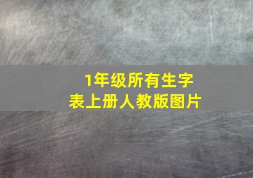 1年级所有生字表上册人教版图片