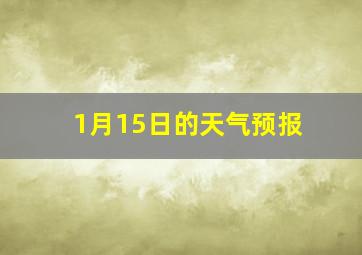 1月15日的天气预报