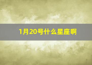 1月20号什么星座啊