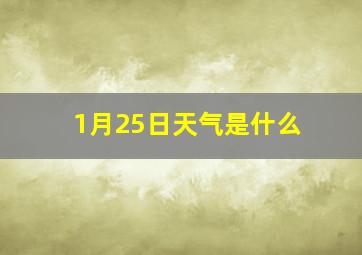 1月25日天气是什么