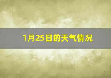 1月25日的天气情况