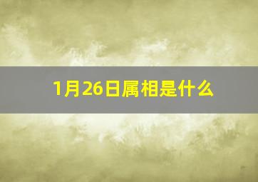 1月26日属相是什么