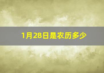 1月28日是农历多少