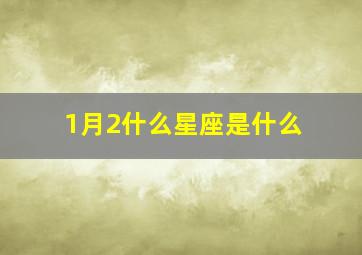 1月2什么星座是什么