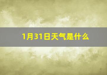 1月31日天气是什么