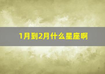 1月到2月什么星座啊