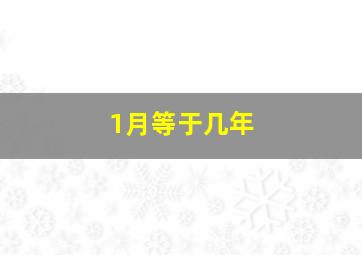 1月等于几年