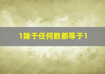 1除于任何数都等于1