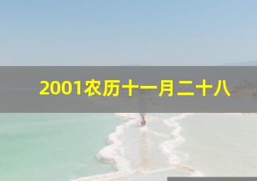 2001农历十一月二十八