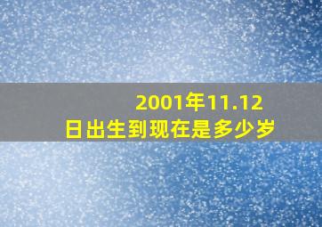 2001年11.12日出生到现在是多少岁