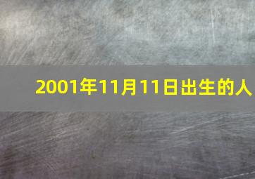 2001年11月11日出生的人