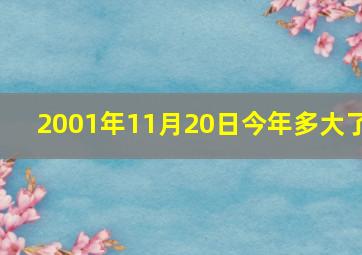 2001年11月20日今年多大了