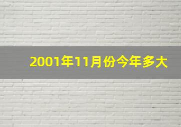 2001年11月份今年多大