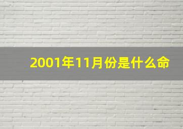 2001年11月份是什么命