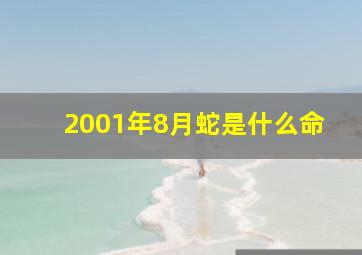 2001年8月蛇是什么命