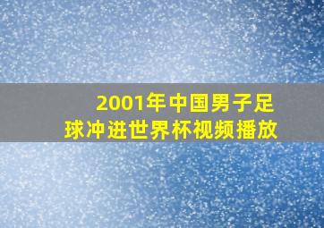 2001年中国男子足球冲进世界杯视频播放