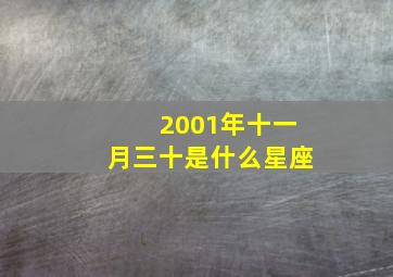 2001年十一月三十是什么星座