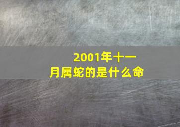 2001年十一月属蛇的是什么命