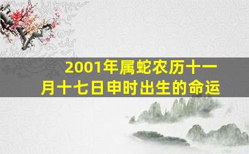 2001年属蛇农历十一月十七日申时出生的命运