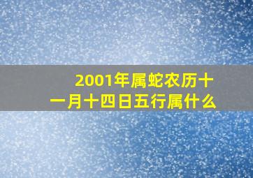 2001年属蛇农历十一月十四日五行属什么