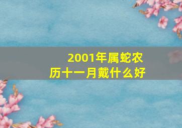 2001年属蛇农历十一月戴什么好