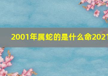 2001年属蛇的是什么命2021