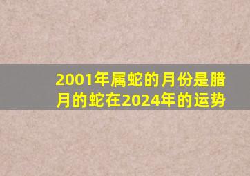 2001年属蛇的月份是腊月的蛇在2024年的运势