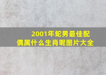 2001年蛇男最佳配偶属什么生肖呢图片大全